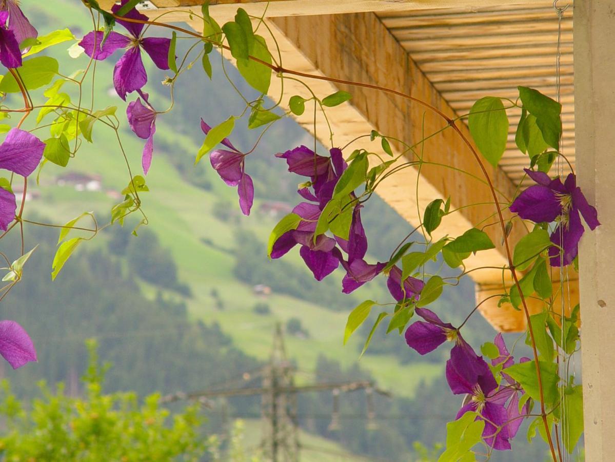 Appartement Birgla Ramsau im Zillertal Ngoại thất bức ảnh